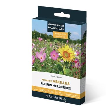 Mélange de graines pour abeilles