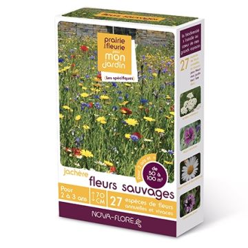 Jachère Fleurs sauvages