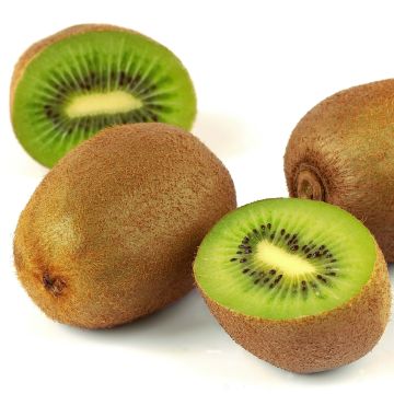 Kiwi Belen - Actinidia deliciosa