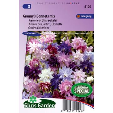 Aquilegia vulgaris Plena Granny’s Bonnets