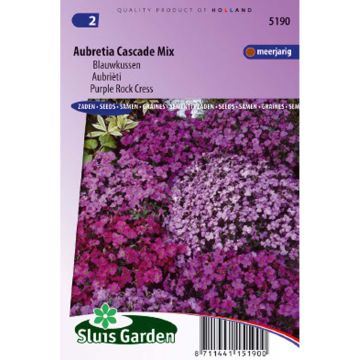 Aubrieta Cascade Mix