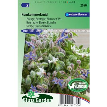 Borraja azul y blanco - Borago officinalis