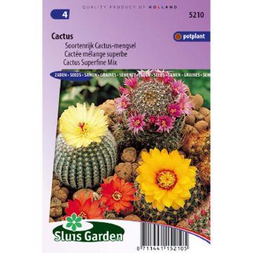 Cactus Mix (semillas)