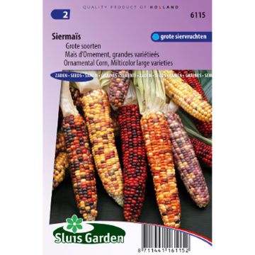 Zea mays japonica Grandes variétés - Maíz