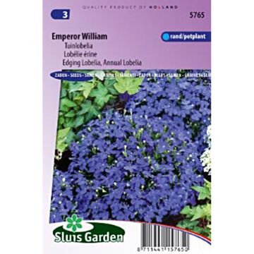 Lobelia erinus Empereur William