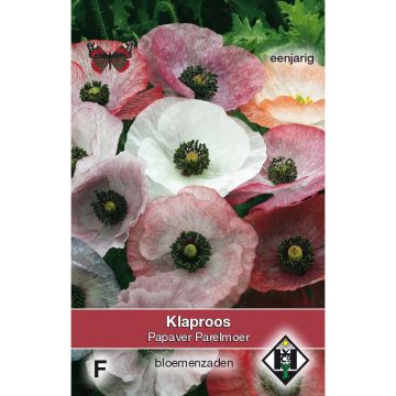 Amapola común Parelmoer - Papaver rhoeas