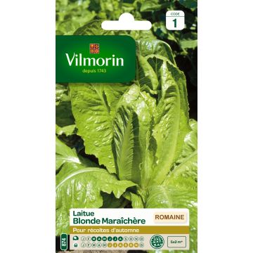 Lechugas Romaine Blonde Maraîchère - Vilmorin