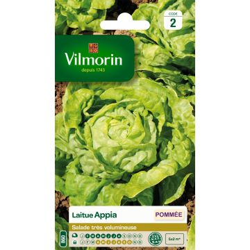 Lechuga Appia - Vilmorin