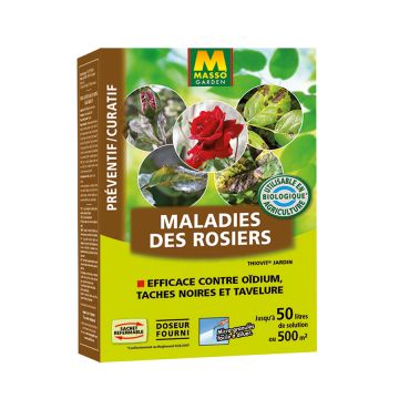 Maladies des Rosiers au soufre UAB Masso Garden