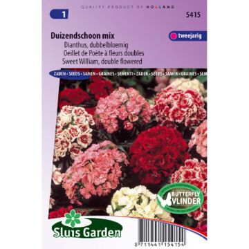 Clavel del poeta Double Mix - Dianthus barbatus