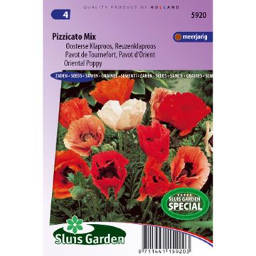 Amapola oriental Pizzicato Mix - Papaver orientale