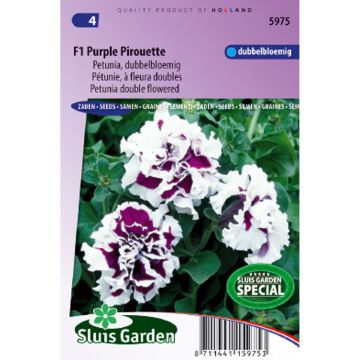 Petunia Purple Pirouette F1