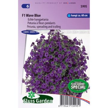 Petunia Wave Blue F1