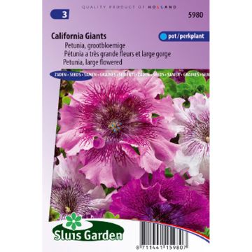 Petunia California Giants Mix - Surfinia