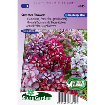 Phlox drummondii Summer Showers Mix