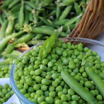 Guisantes verdes Avola