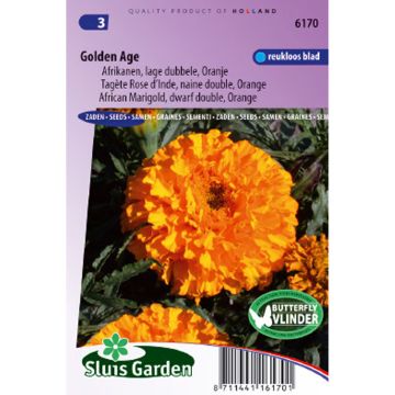 Tagetes erecta Golden Age