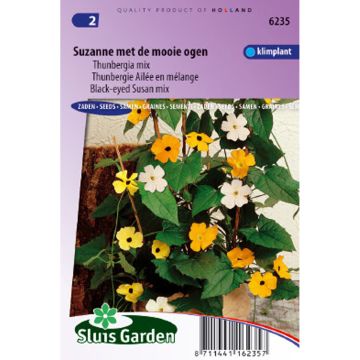 Thunbergia alata (semillas) - Susana de los ojos negros