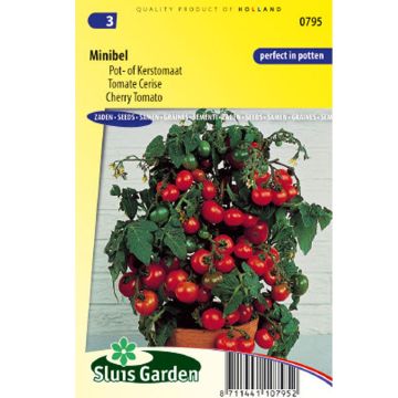 Tomate cherri Minibel