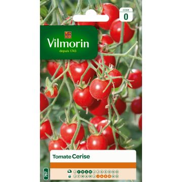 Tomate cherri - Vilmorin