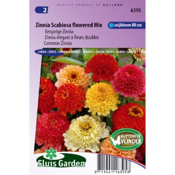 Zinnia Scabiosa Flowered Mix