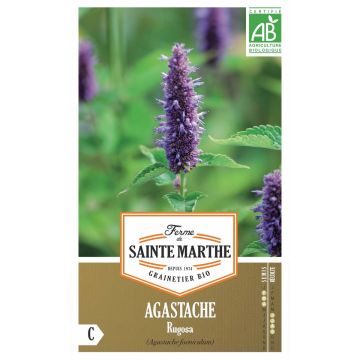 Agastache rugosa Bio - Ferme de Sainte Marthe - Menta coreana