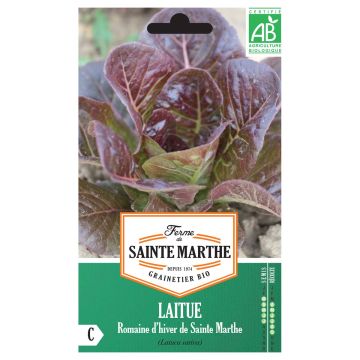 Lechugas Romaine d'Hiver de Sainte-Marthe