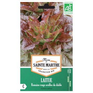 Lechugas Romaine Rouge Oreilles du Diable