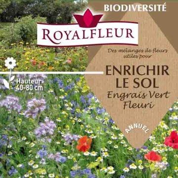 Mélange pour enrichir le sol (engrais vert fleuri) - Boite 100m2