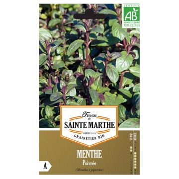 Menta Bio - Ferme de Sainte Marthe