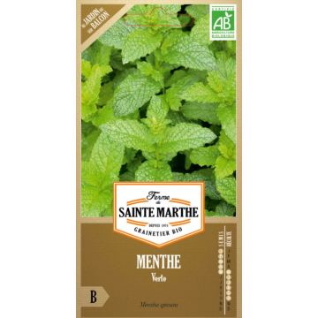 Hierbabuena Verte vraie Bio - Ferme de Sainte Marthe