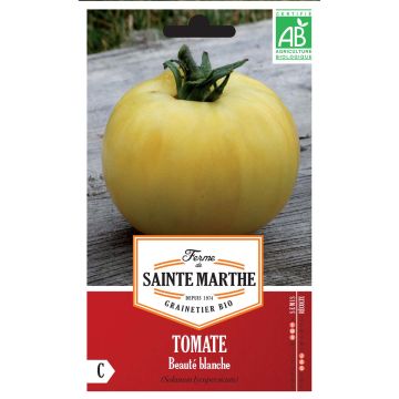 Tomate Beauté Blanche