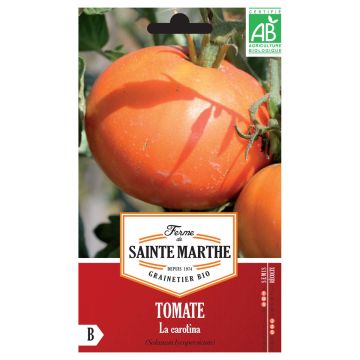 Tomate La Carotina