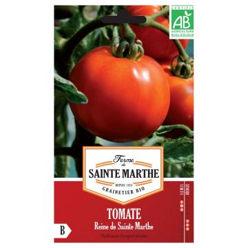 Tomate Reine de Sainte-Marthe