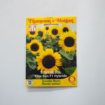 Girasol F1 Elite Sun