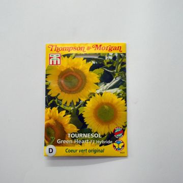 Girasol F1 Green Heart