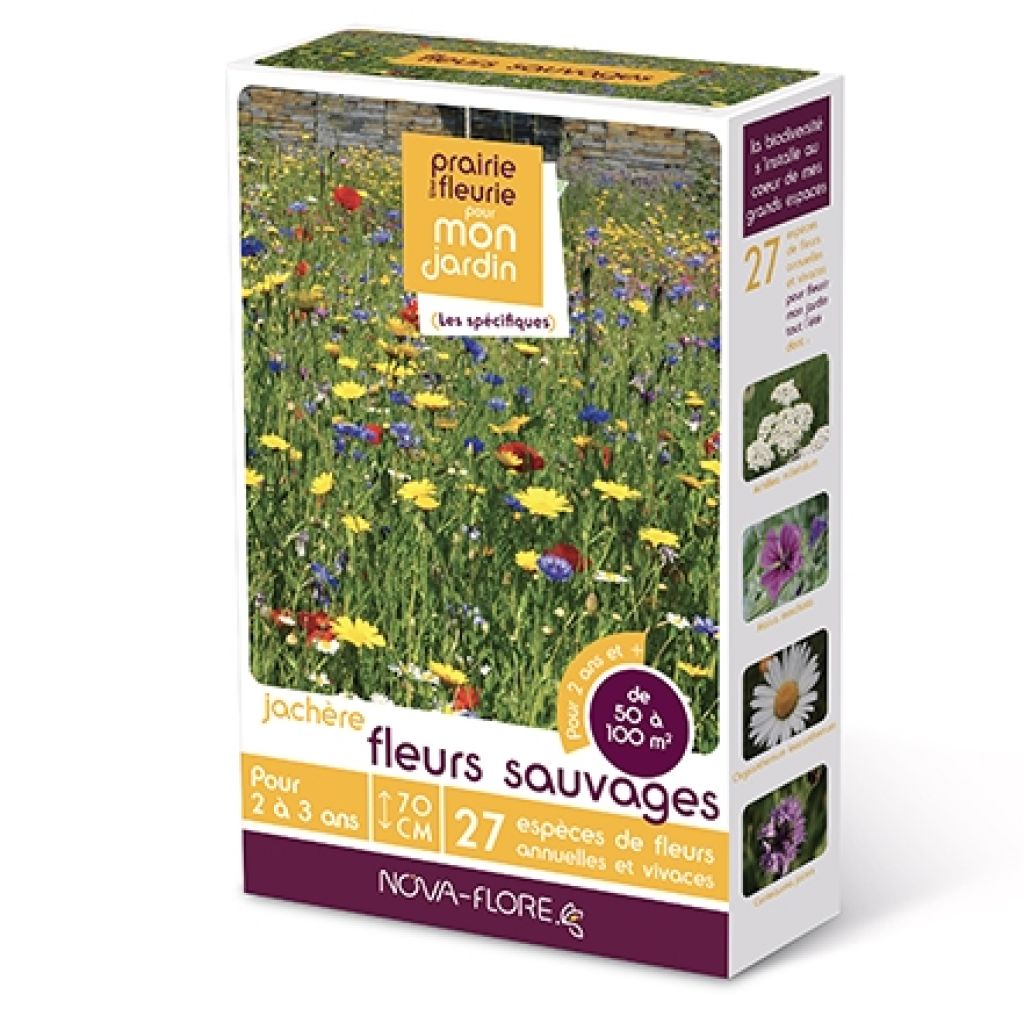 Jachère Fleurs sauvages - Boîte pour 50 à 100 m²