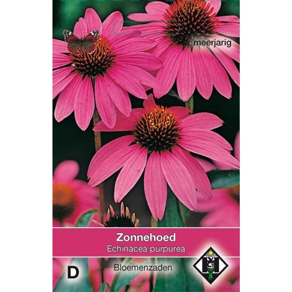 Echinacea purpurea Zonnehoed