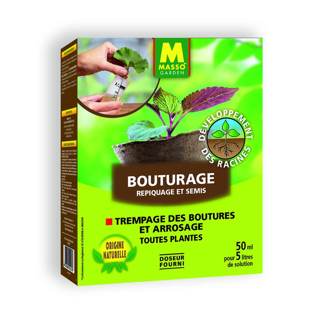 Bouturage repiquage et semis 