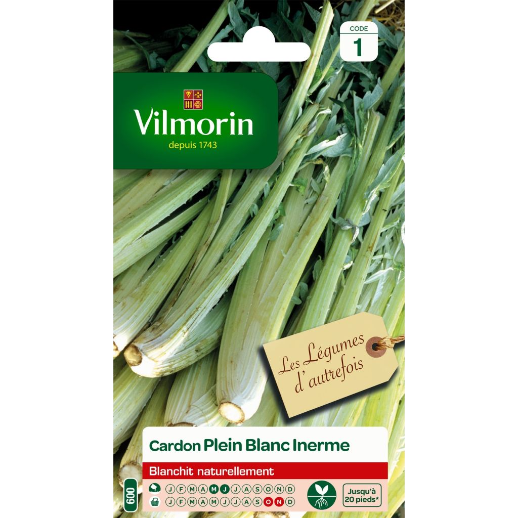 Cardo - Vilmorin