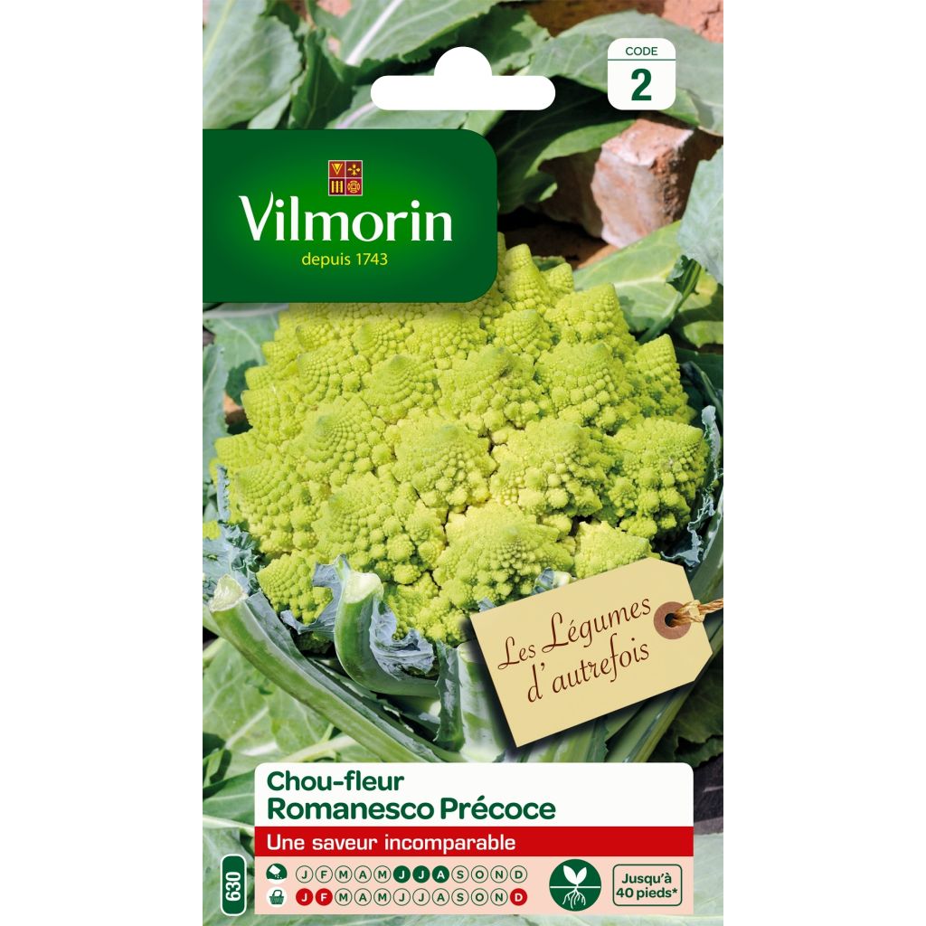 Col Romanesco - Vilmorin