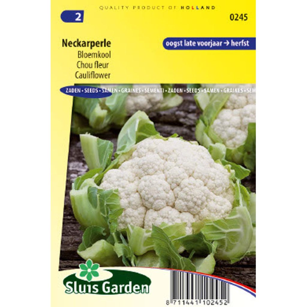 Coliflor Neckarperle