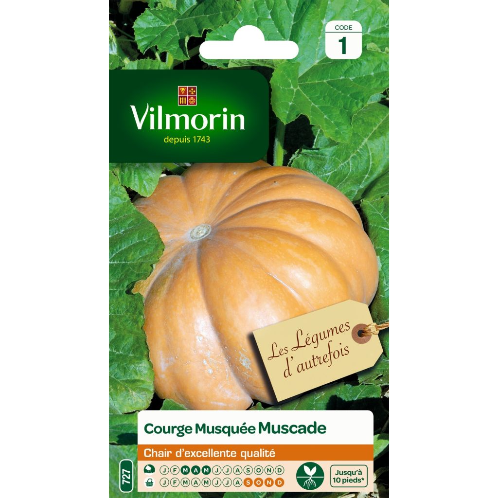 Calabacita amarilla Musquée d'hiver de Provence - Vilmorin