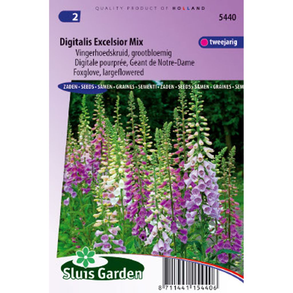 Digitalis purpurea Excelsior Mix