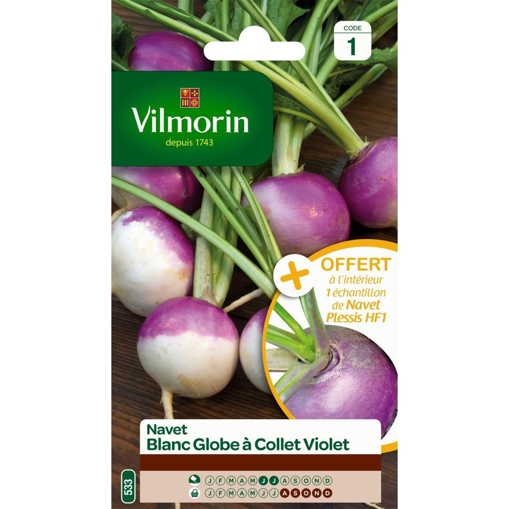 Nabo blanco Blanc Globe Collet Violet - Vilmorin