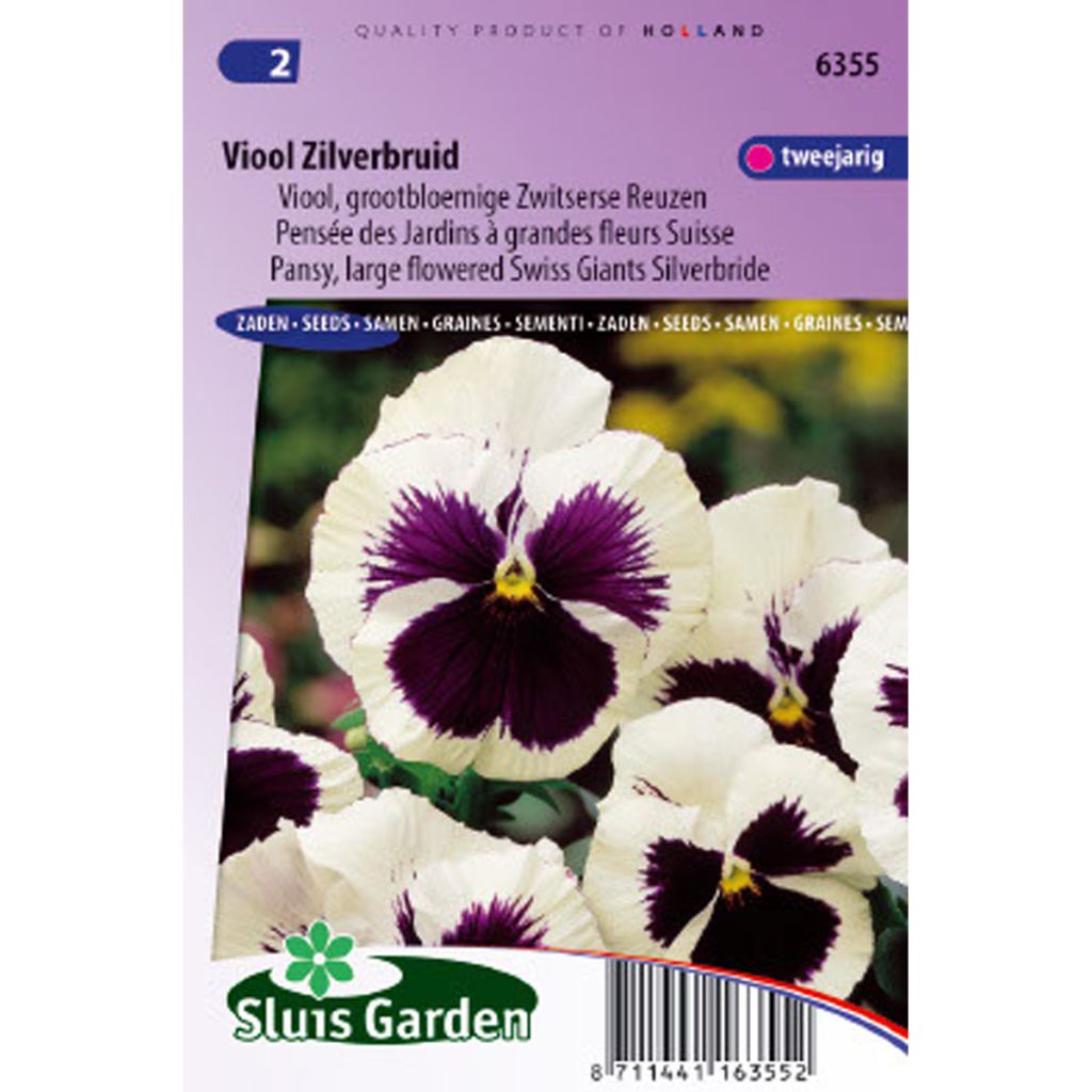 Pensée géante de Suisse Silverbride - Viola X wittrockiana