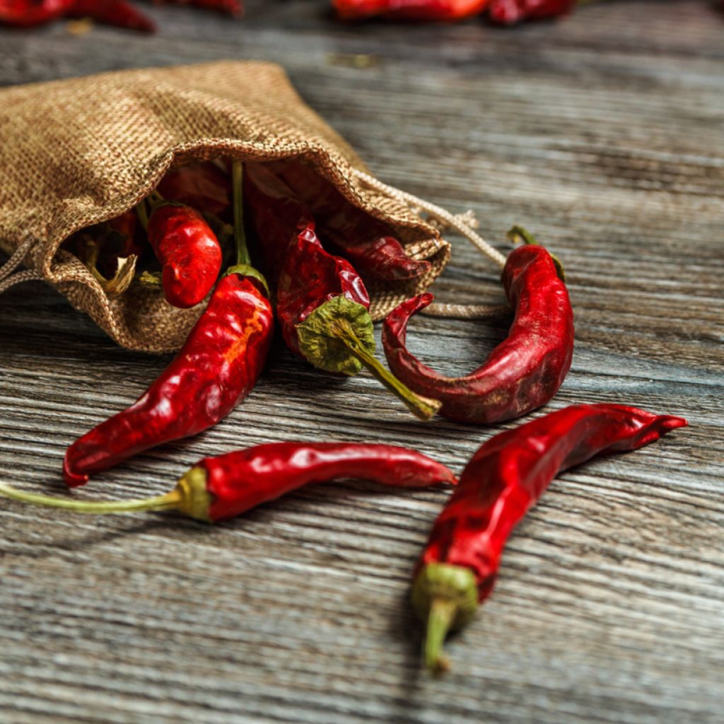 Pimienta de Cayenne