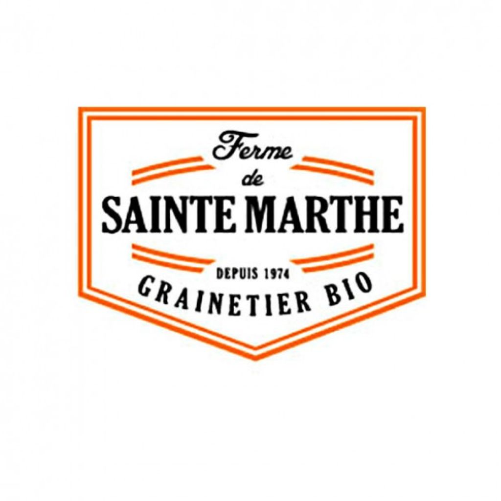 Potiron Beretta Piancentina Bio - Ferme de Sainte Marthe