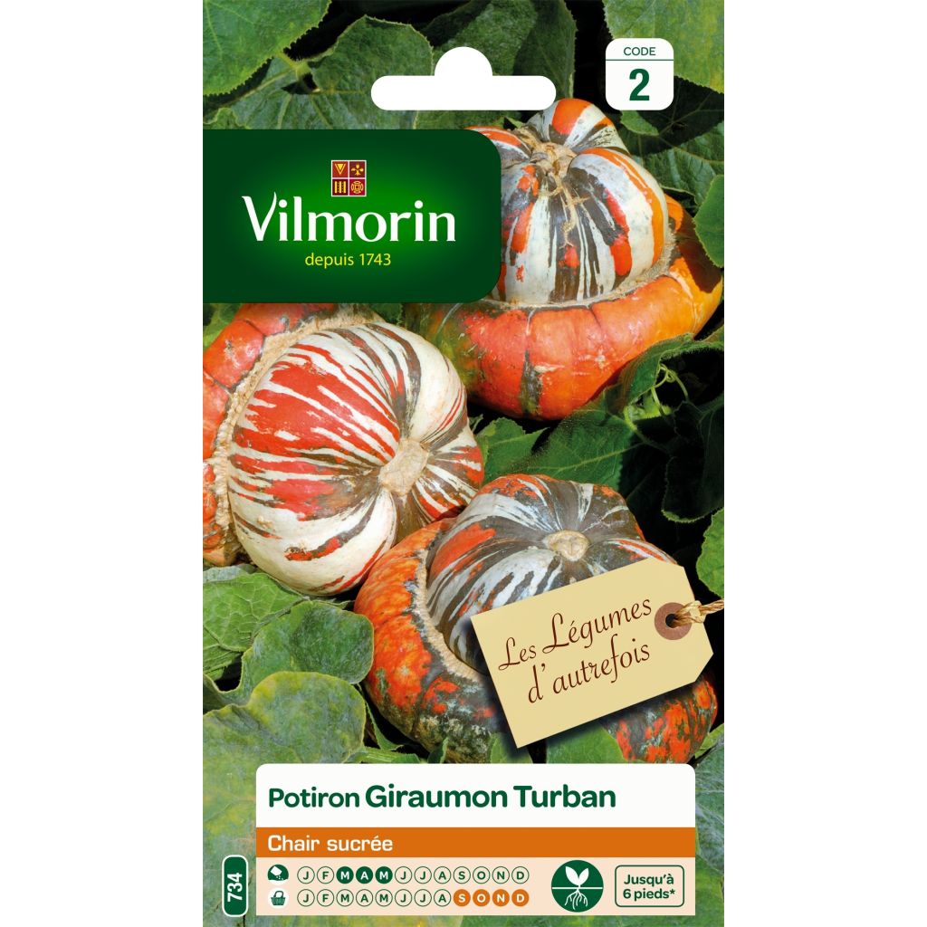 Potiron Giraumon Turban - Vilmorin