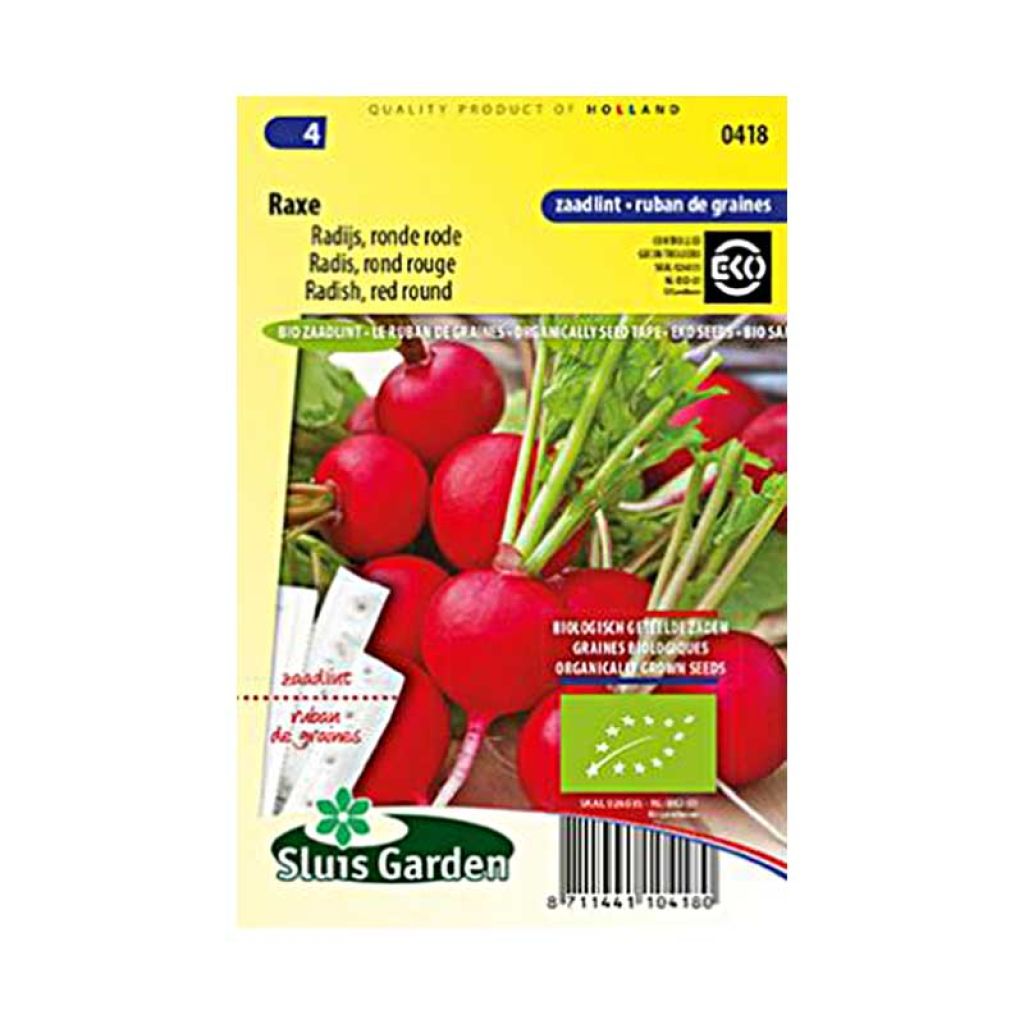 Radis Rond rouge Raxe Bio - Raphanus sativus var. sativus